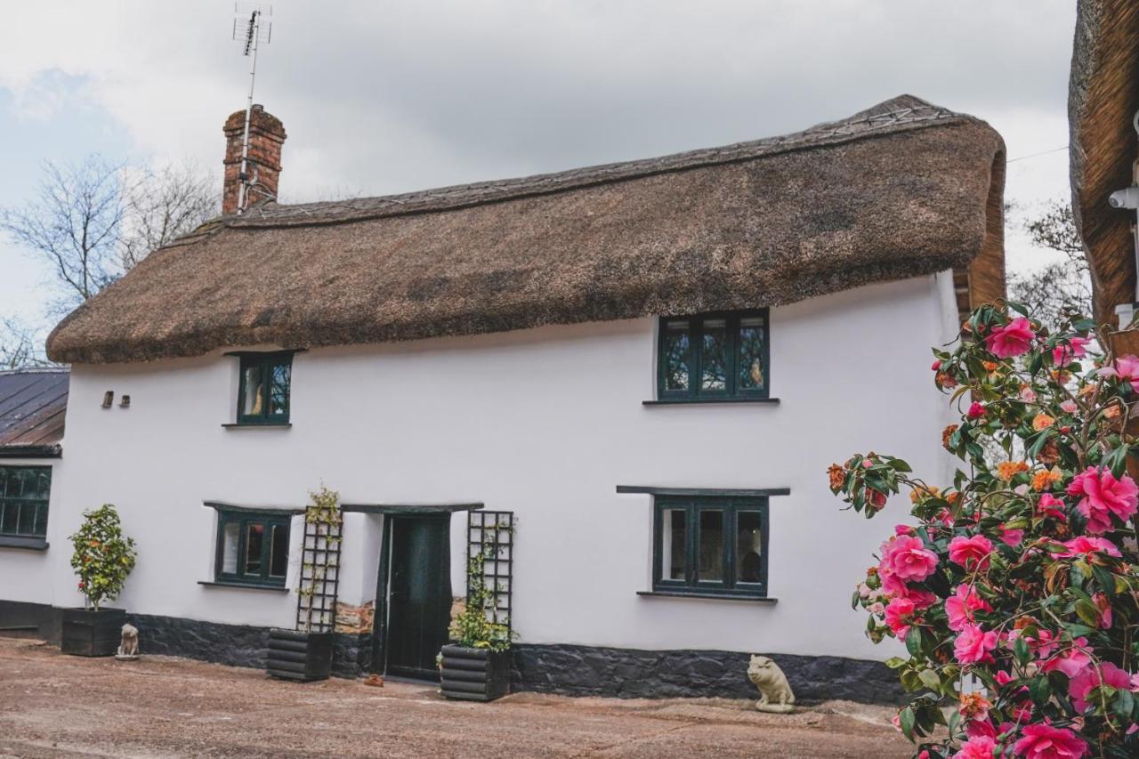 'The Cottage' Окхамптън Екстериор снимка